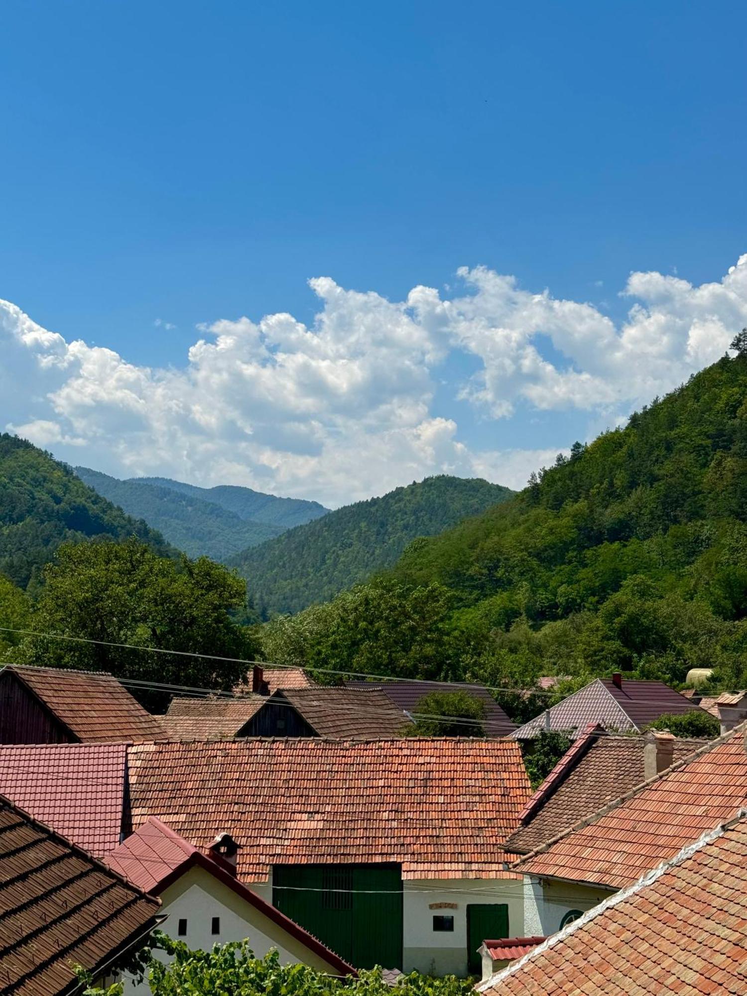 Casa Presecan Tălmaciu Zewnętrze zdjęcie